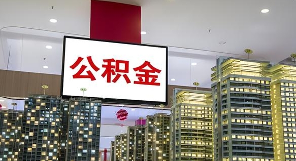 哈尔滨离职前公积金怎么取（离职之前提取公积金）